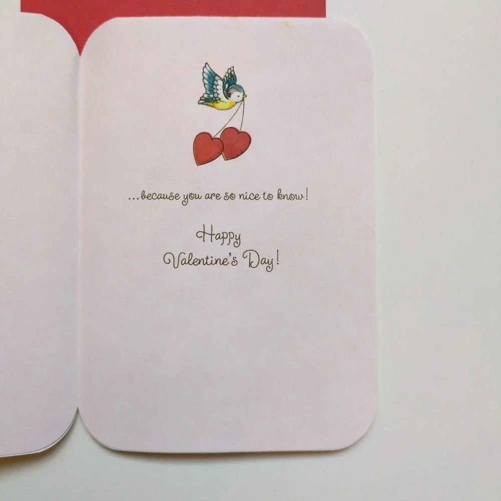 Vtg 1969 Valentine's Day Greeting Card‎ Joan Walsh Anglund Art Hallmark Unsigned